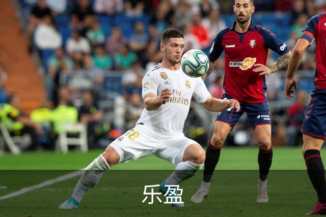 乐盈公司简介